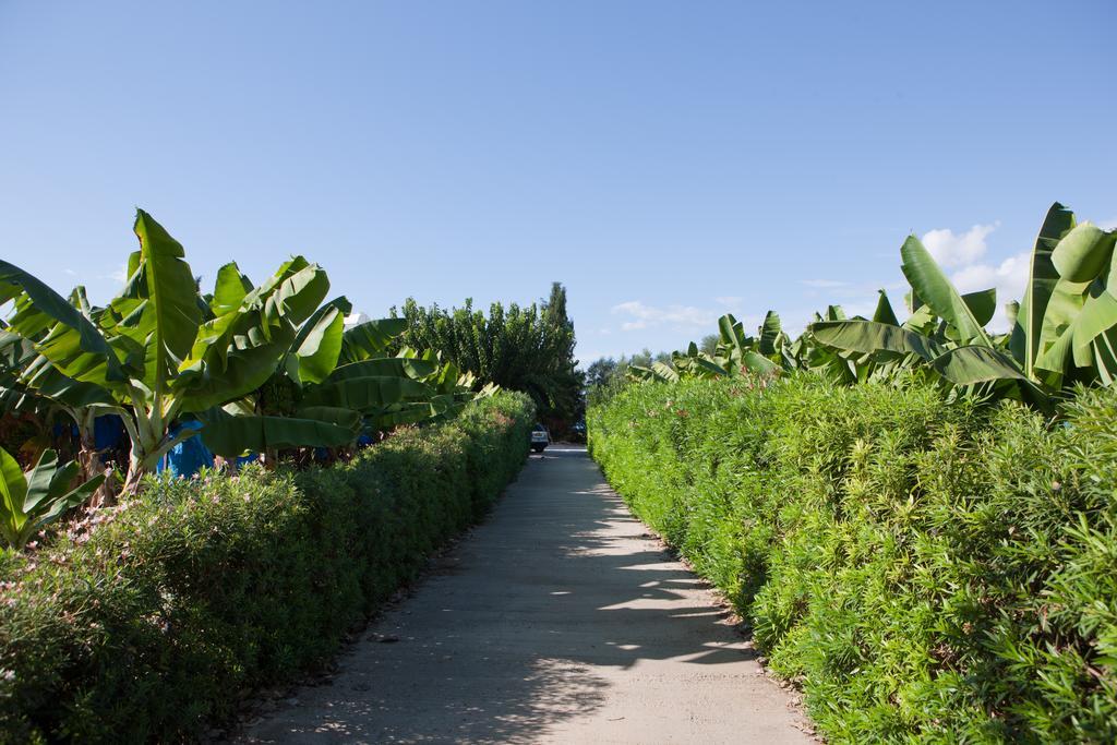 Banana Sunset Villas Paphos Exterior photo